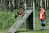 Keuring mei 2010 peter,jan 014.jpg