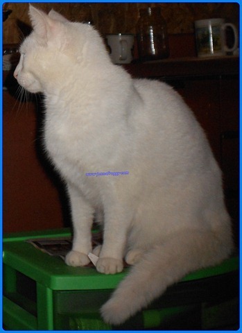 DSCN0428