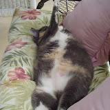 Grace sleeps.
