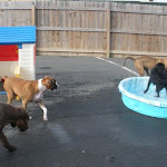 DSCN2308.jpg