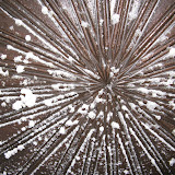 Photo 1 von 63