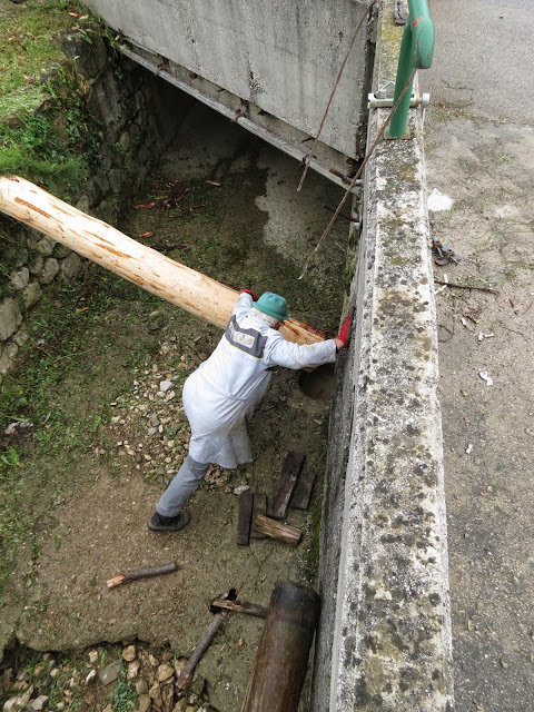 2014-Mlaj-in-kresovanje-36.JPG