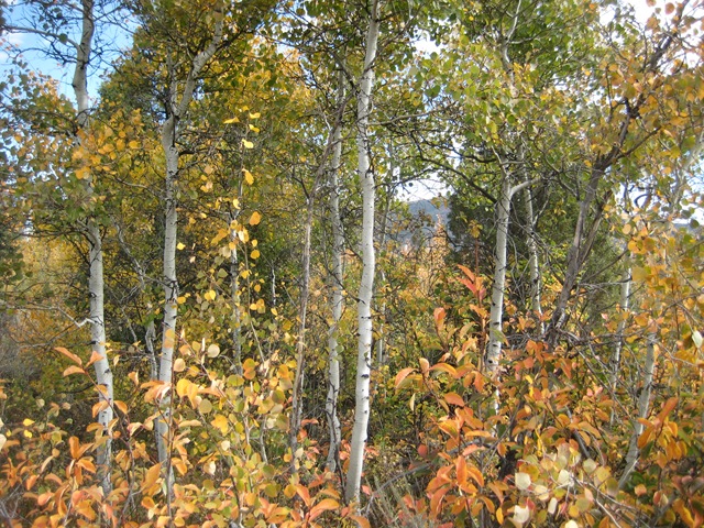 [IMG_7822%255B3%255D.jpg]