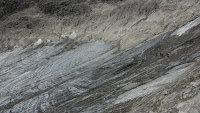 CIMG3353.JPG Photo