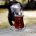 DSC_2367.JPG