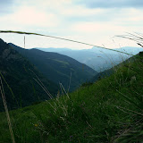 IMAG0051.JPG