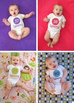 Nora Weeks 37 thru 40 Collage