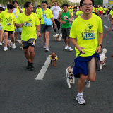 Pet Express Doggie Run 2012 Philippines. Jpg (95).JPG