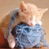 kitten_yarn_640_large