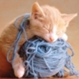 kitten_yarn_640_large kitten_yarn_640_large