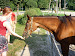 P1090920.JPG