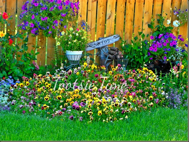 BeFunky_016.jpg BeFunky_016.jpg