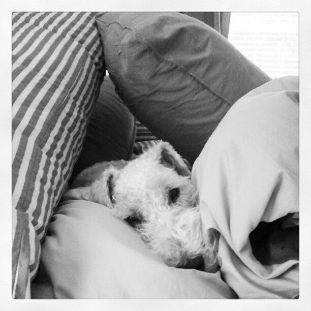 [image%255B4%255D.png]