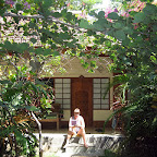Pondok Sari resort (Pemuteran, North Bali)