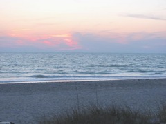 Florida Engelwood sunset1