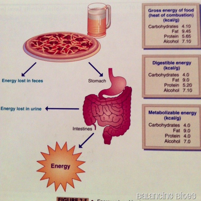 [Energy-Value-of-Food23.jpg]