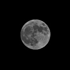 DSC_3039.jpg