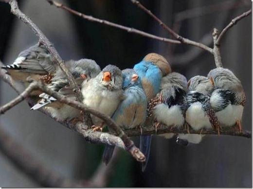 [clip_image028%255B3%255D.jpg]