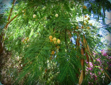 DSC00506H9bBW DSC00506H9bBW