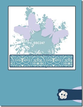SSC_247 SSC_247