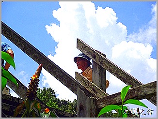 DSCF6830 DSCF6830