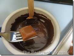 dark chocolate salted caramels - The Backyard Farmwife