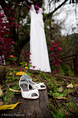 Foto 0057. Marcadores: 13/06/2009, Casamento Flavia e Daniel, Sapato, Teresopolis, Via Mia Sapatos