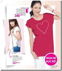 Catalog19-37