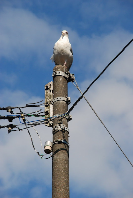 hokkaido_152.jpg