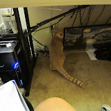 IMG_0011.JPG