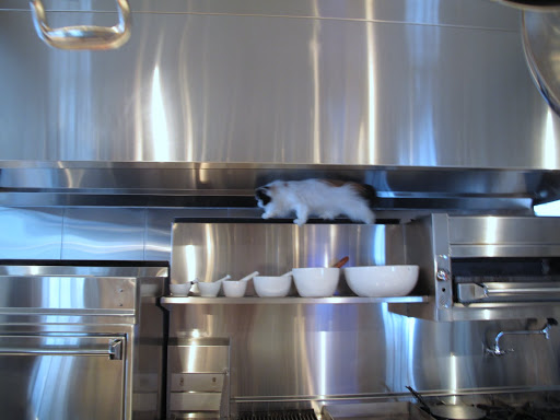 Francesca, what the heck is Tang doing up there!
