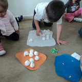 DSC09772.JPG