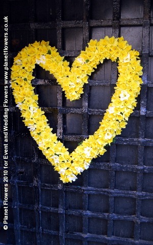 [183%2520planet%2520flowers.jpg]