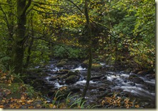 04.Alrededores de la Cascada Torc - Kerry