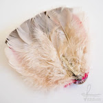 output19.jpg DIY Project: Feather Hair Accessories