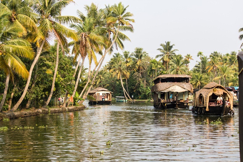 قرار صادر من قيادة القوات المسلحة ضد تسواهن Kerela-backwaters-18%255B2%255D