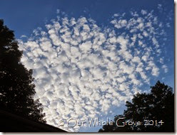 heart of clouds heart of clouds