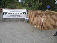 main75d4.jpg