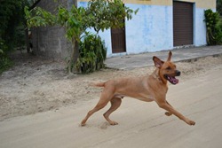 [FDS%2520Ec%25C3%25A3ologico%25206%2520%252814%2529%255B5%255D.jpg]