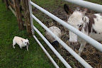Hi donks!  How's everything going today?