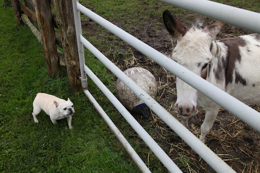 Hi donks!  How's everything going today?