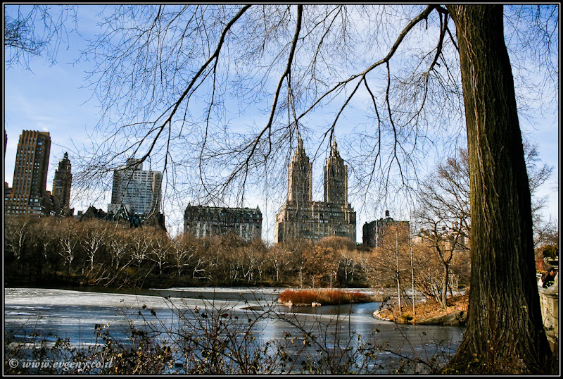 Вид на Америку: Central Park (foto america  фото путешествия new york manhattan  0401%252520USA%25252C%252520NY%25252C%252520Central%252520Park 15)