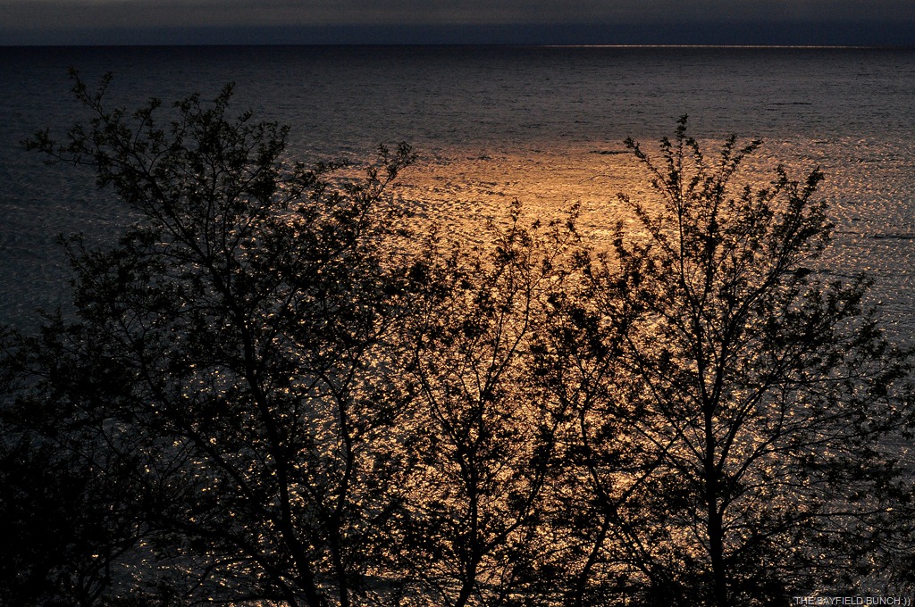 [DSC_0017-0014.jpg]