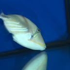 DSC_2177.jpg