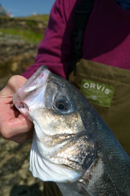 [DSC_0274%255B7%255D.jpg]