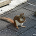 Dsc00050