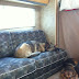 Dog's new home