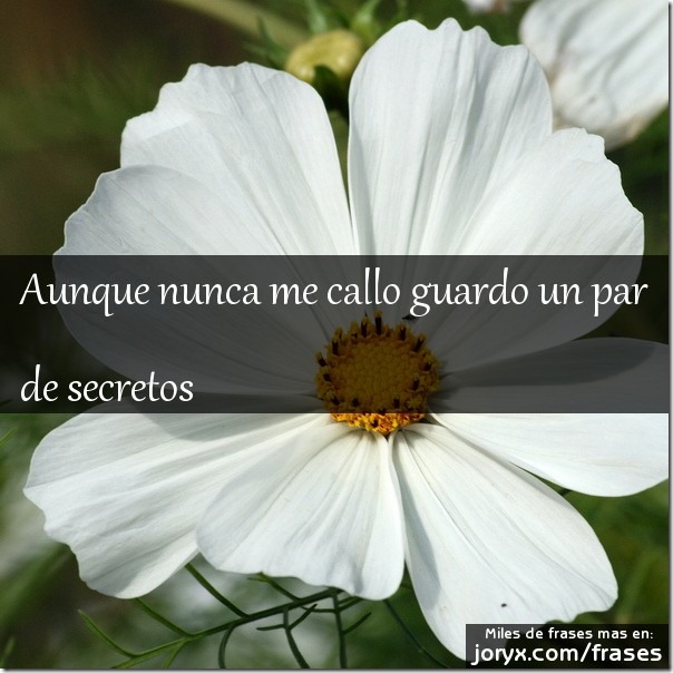 frases secretos (3) frases secretos (3)