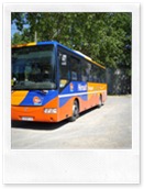 Cruzy bus Cruzy bus