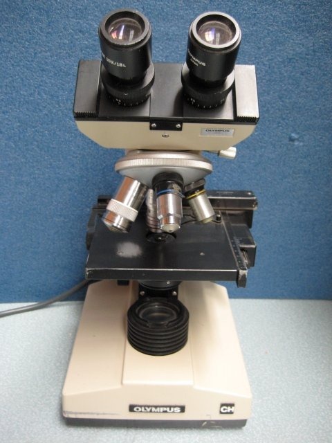 Microscopio Biológico Binocular